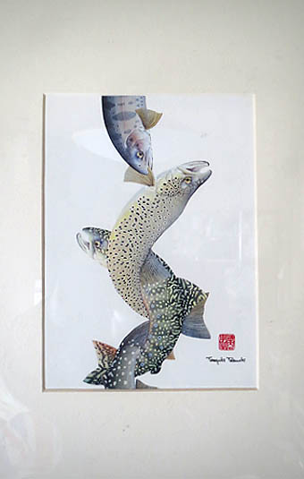 fishillustration02